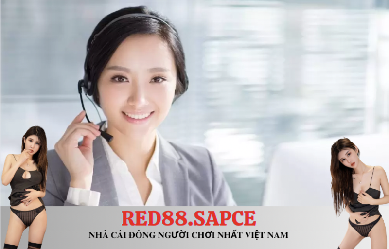 cách liên hệ red88