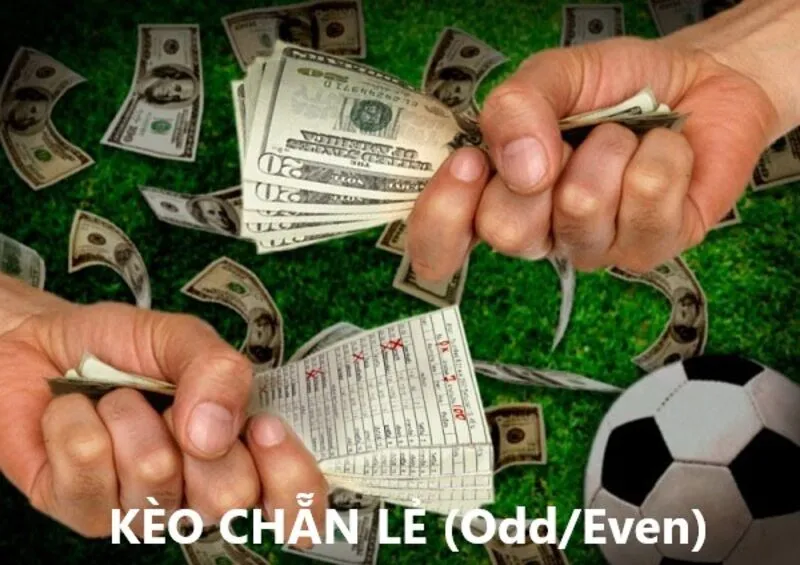 Cách đọc Kèo Chẵn Lẻ hiệu quả 