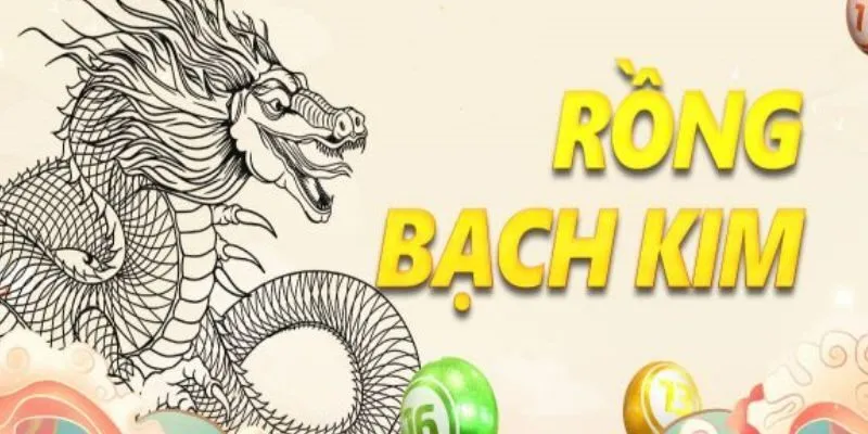Tìm hiểu rồng bạch kim là gì?