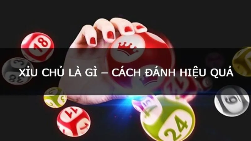 Kinh nghiệm soi cầu Sỉu chủ là gì?